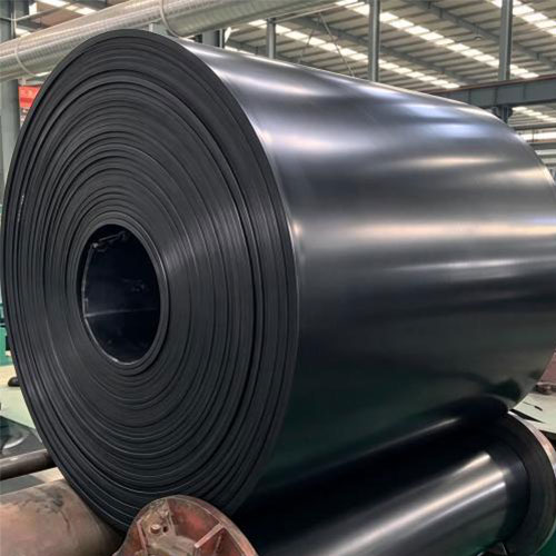 Chemical Resistant Conveyor Belt
